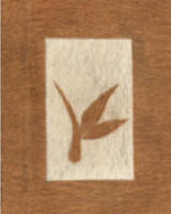 Leaf Design Bark Menu