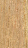 pinus wood used in Bali wood carvings 